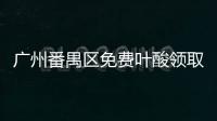 廣州番禺區免費葉酸領取政策2024，這三大證件缺一不可