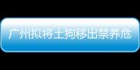 廣州擬將土狗移出禁養(yǎng)危險(xiǎn)犬名錄 征求意見中