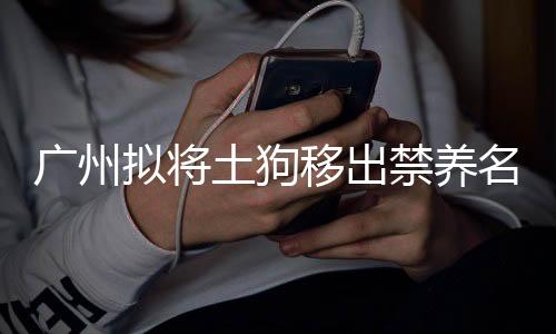 廣州擬將土狗移出禁養名錄 征求意見中