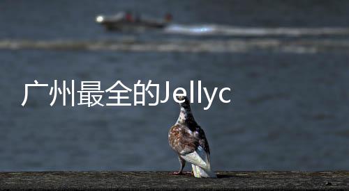 廣州最全的Jellycat門店，被凱德樂峰廣場“搶到”了！