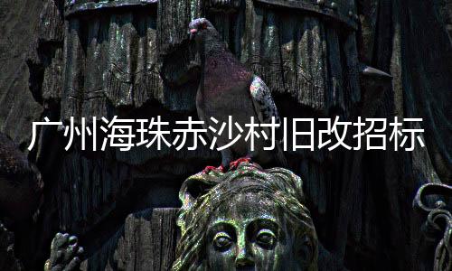 廣州海珠赤沙村舊改招標 預計改造總成本為88億