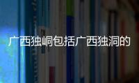 廣西獨峒包括廣西獨洞的詳細情況