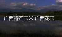 廣西特產玉米:廣西花玉米口感