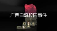 廣西白流校園事件
