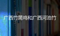 廣西竹筒雞和廣西河池竹雞籠的情況說明