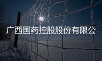 廣西國藥控股股份有限公司招聘