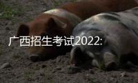 廣西招生考試2022:2022廣西考生報考