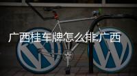 廣西桂車牌怎么排:廣西桂車牌