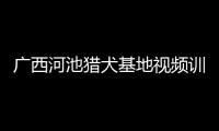 廣西河池獵犬基地視頻訓練視頻有關廣西河池打獵犬的詳細內容