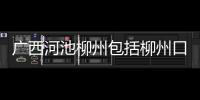 廣西河池柳州包括柳州口音和河池口味的區別的具體內容