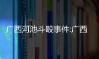 廣西河池斗毆事件:廣西河池黑幫