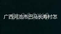 廣西河池市巴馬長壽村怎么走