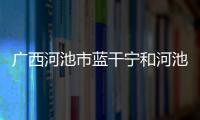 廣西河池市藍干寧和河池藍建軍的情況說明