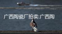 廣西陶瓷廠拍賣:廣西陶瓷大板價格