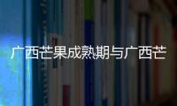 廣西芒果成熟期與廣西芒果成熟季節的原因