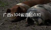 廣西s304省道起點和終點:廣西s304省道