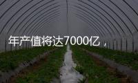 年產值將達7000億，“光儲直柔”初露崢嶸