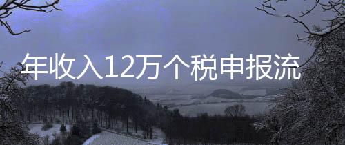 年收入12萬個稅申報流程（年收入12萬個稅申報）