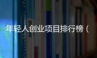 年輕人創(chuàng)業(yè)項目排行榜（年輕人創(chuàng)業(yè)項目）