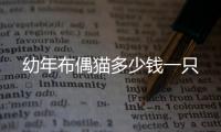 幼年布偶貓多少錢(qián)一只