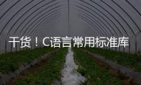 干貨！C語言常用標準庫解讀