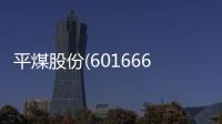 平煤股份(601666)：Q3業績 回購方案開啟煤炭公司“增持回購再貸款”序幕