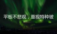 平板不悲觀，重視特種玻璃、深加工、整合,市場研究