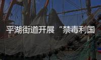 平湖街道開展“禁毒利國利民利己”主題禁毒宣傳活動