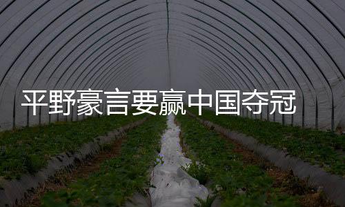 平野豪言要贏中國奪冠 球迷：有本事你先贏石川