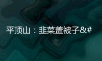 平頂山：韭菜蓋被子 割出新高度丨村里有了科技特派員