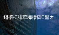 鍖楁枟緋葷粺棣栨鐢ㄤ簬浜洪槻璀︽姤鈥旀柊闂燴€旂瀛︾綉