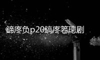 鍗庝負p20鎬庝箞璁劇疆搴旂敤鏉冮檺（HUWEI p20pro如何管理應用權限）