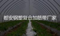 都安鋼塑復合加筋帶廠家采購供應