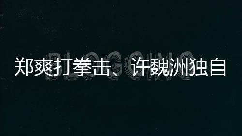 鄭爽打拳擊、許魏洲獨自旅行 《讓生活好看》鼓勵獨居青年突破自我