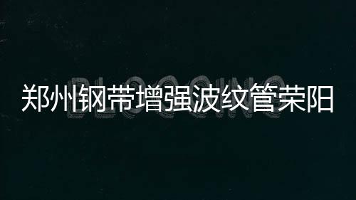 鄭州鋼帶增強(qiáng)波紋管榮陽天盛質(zhì)優(yōu)價(jià)廉