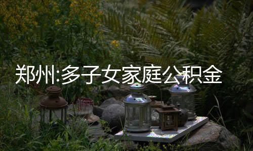 鄭州:多子女家庭公積金貸款購(gòu)房最高可貸120萬(wàn)元