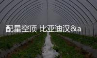 配星空頂 比亞迪漢&middot;蘇州園林定制版發布