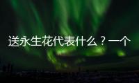 送永生花代表什么？一個男孩送自己永生花是什么意思？