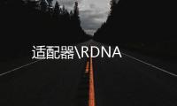 適配器\RDNA