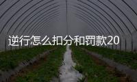 逆行怎么扣分和罰款2020（逆行怎么扣分和罰款）