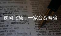 逆風(fēng)飛揚(yáng)：一家合資壽險(xiǎn)公司穩(wěn)中求進(jìn)的破局之道