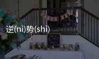 逆(nì)勢(shì)謾(màn)錄(lù)網友如何看?