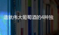 造就偉大葡萄酒的4種獨(dú)特風(fēng)土