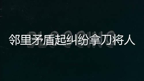 鄰里矛盾起糾紛拿刀將人砍傷 行兇男子進班房