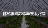 邯鄲蛋雞養雞場廢水處理方法經驗分享