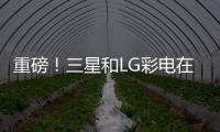 重磅！三星和LG彩電在華占有率降至4.5%