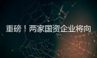 重磅！兩家國(guó)資企業(yè)將向步步高提供20億元流動(dòng)性資金支持