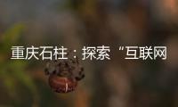 重慶石柱：探索“互聯網+醫療健康”新模式提升便民惠民服務能力