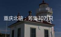 重慶北碚：籌集30萬只口罩助力復工復產