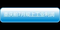 重慶前7月規上工業利潤增幅位居全國第二